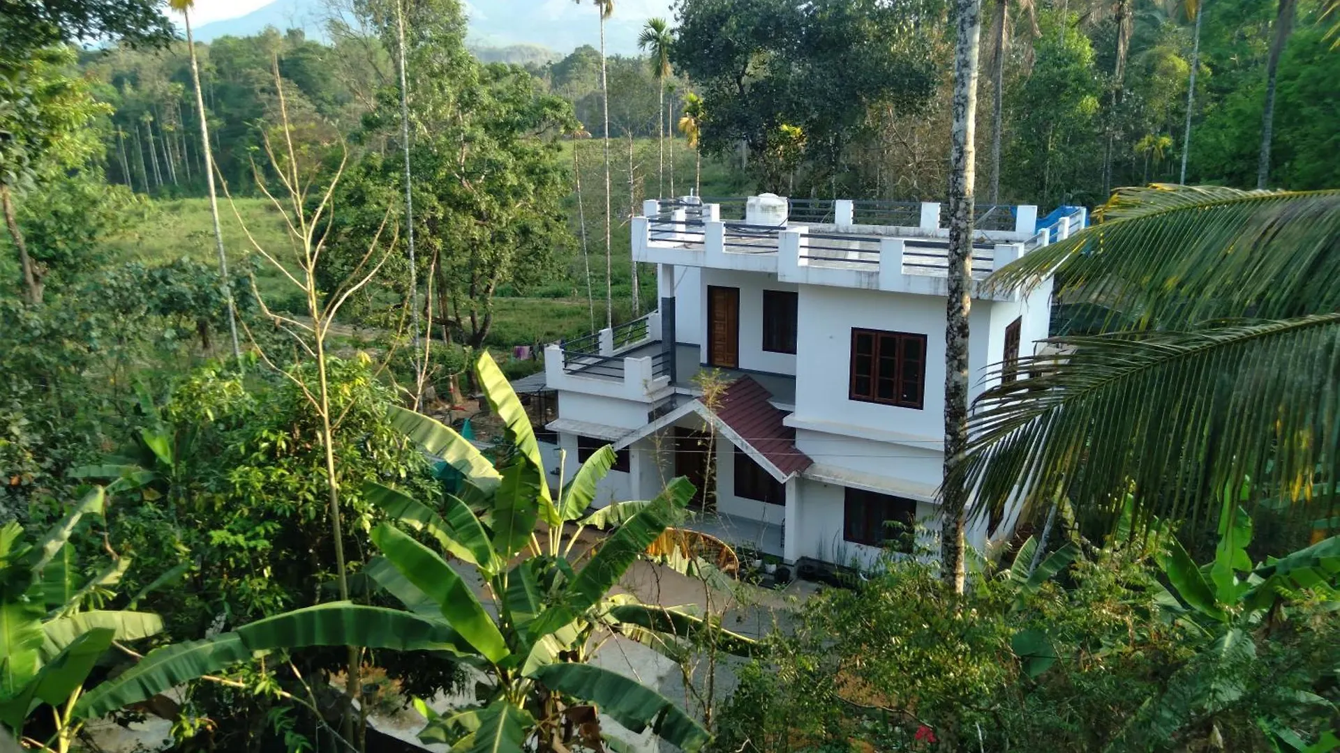 Homely Home Stay Kalpatta Hindistan