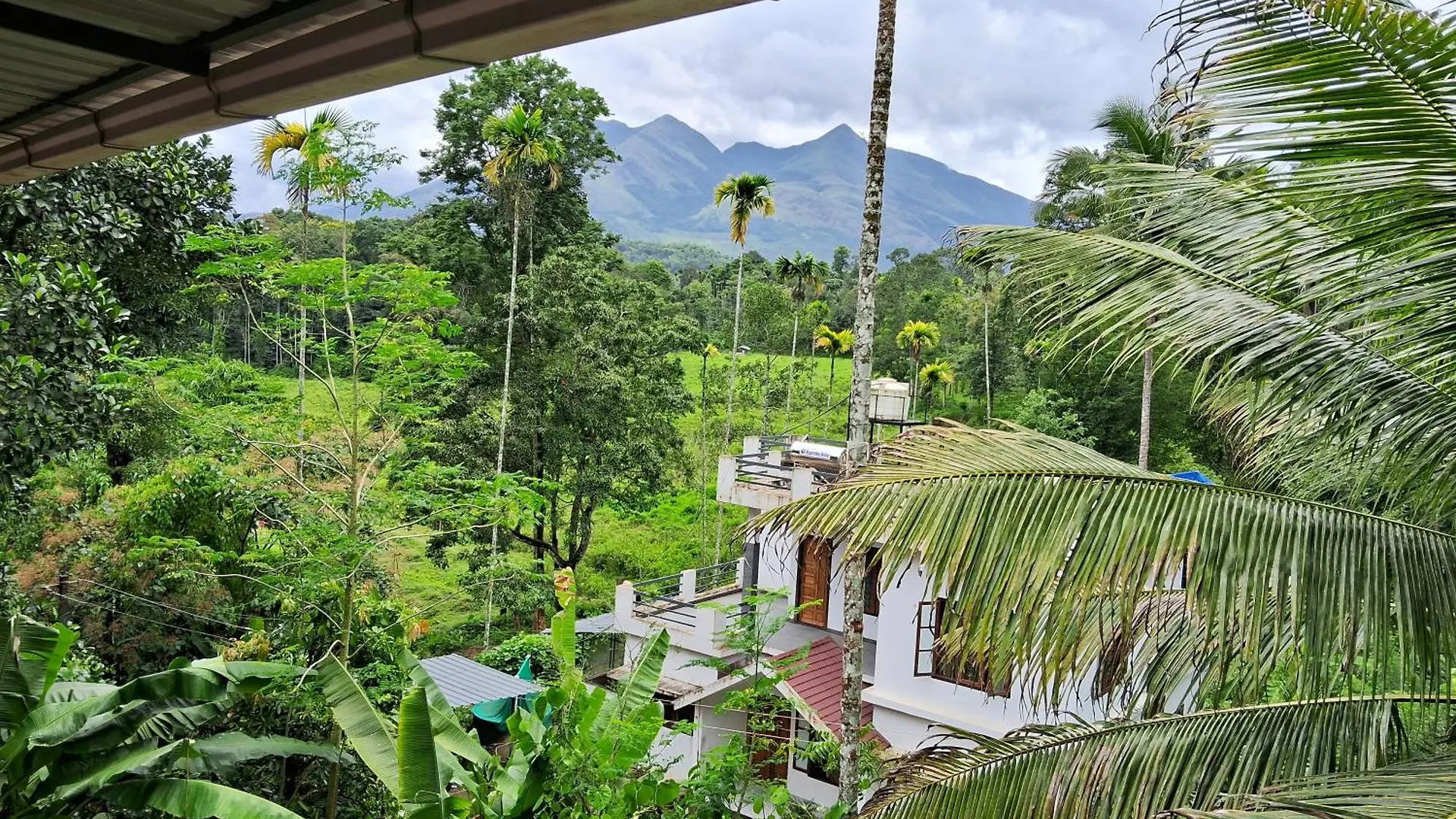 Homely Home Stay Kalpatta Pansiyon