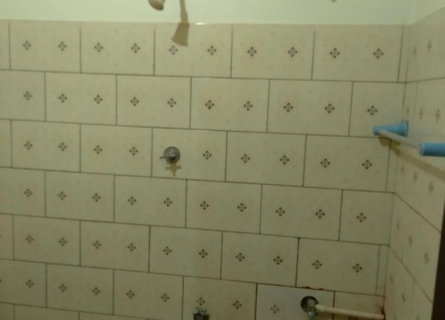 Homely Home Stay Kalpatta